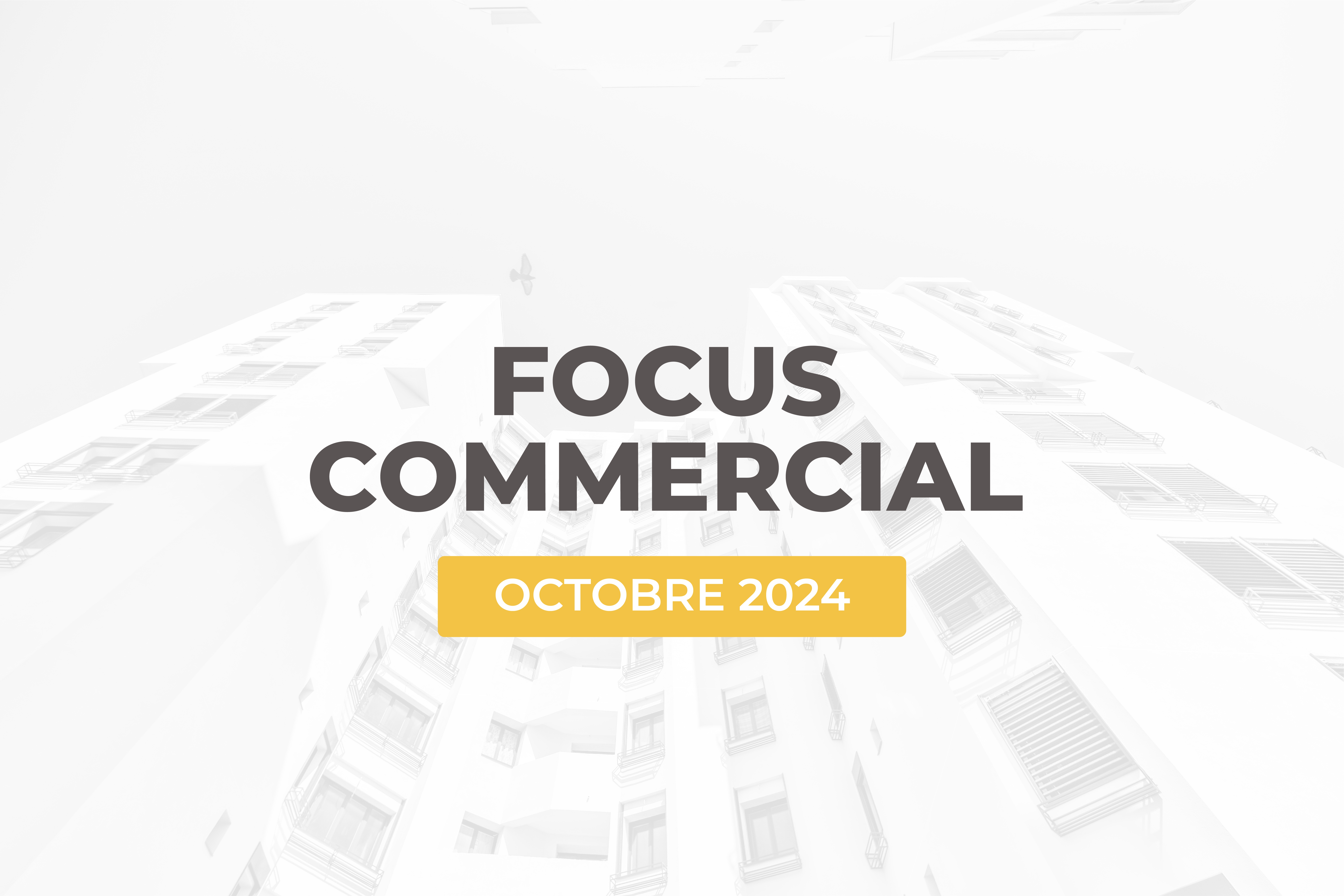 Les actualités commerciales d'ALTEREA d'octobre 2024