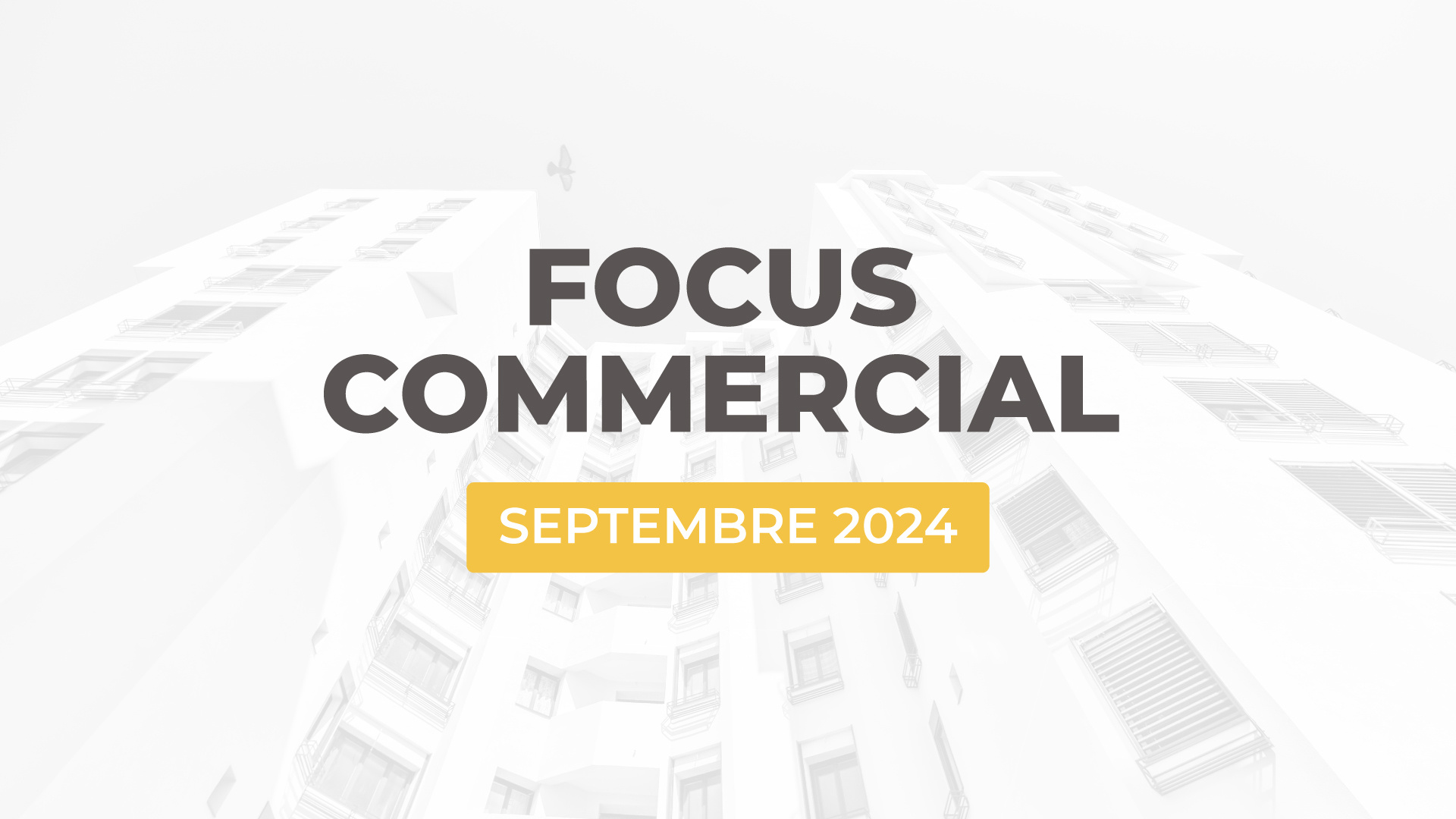 Les actualités commerciales d'ALTEREA de septembre 2024