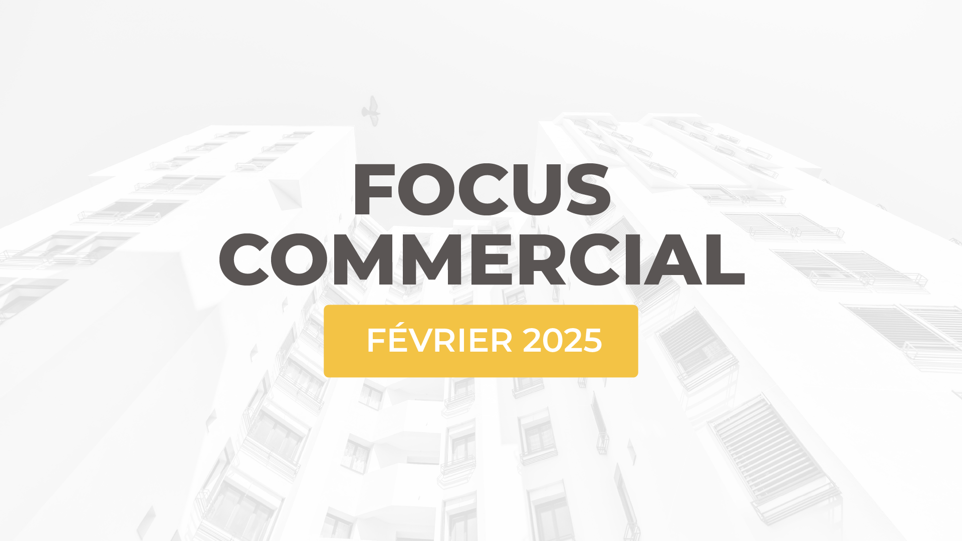 L'actualité commerciale d'ALTEREA de février 2025