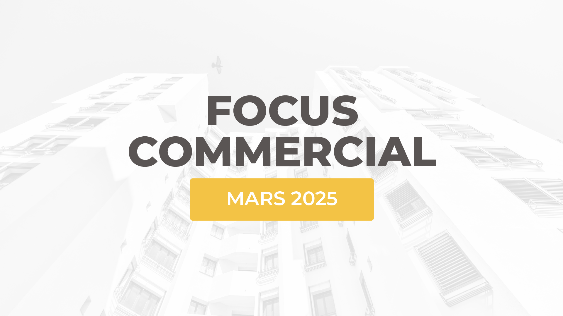 L'actualité commerciale d'ALTEREA de mars 2025