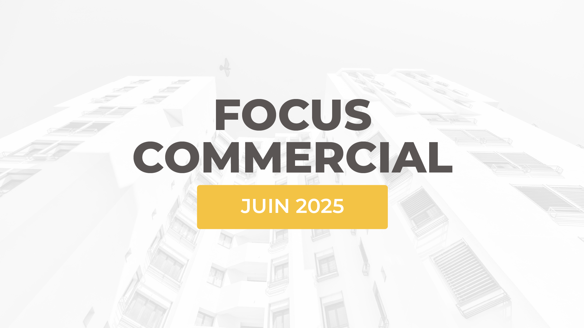 L'actualité commerciale d'ALTEREA de juin 2025