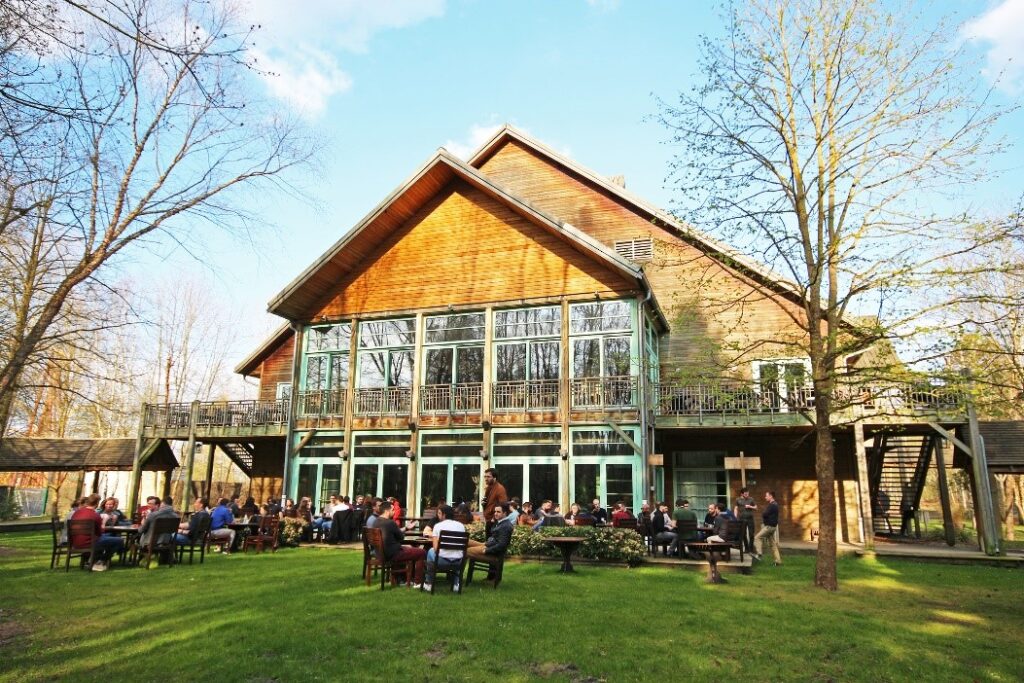 Team Building : ALTEREA et ses collaborateurs au Parc Astérix