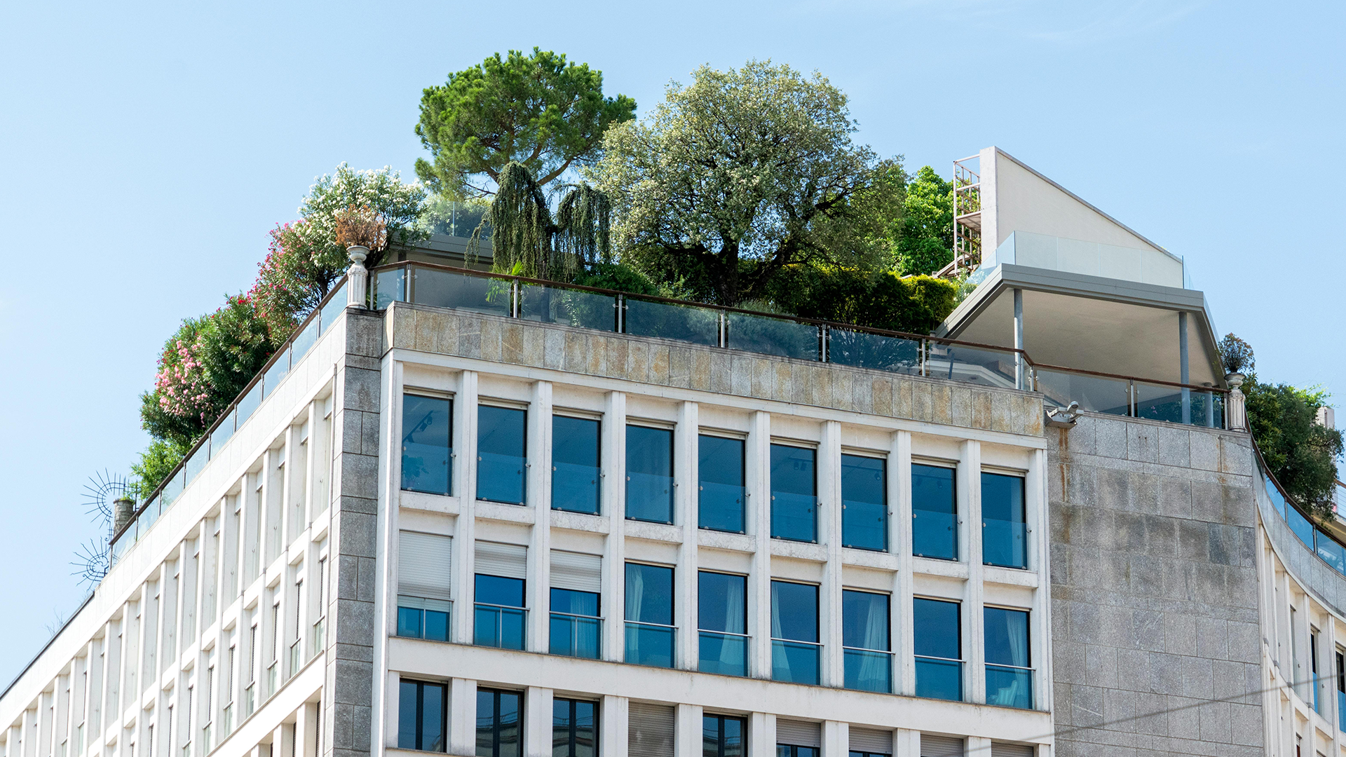 Le Fonds Vert : cap sur une transition écologique