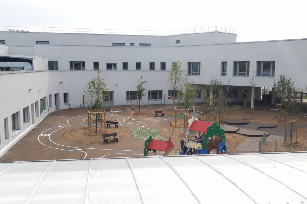 Cours végétalisées : comment transformer votre cour d’école en îlot de fraîcheur