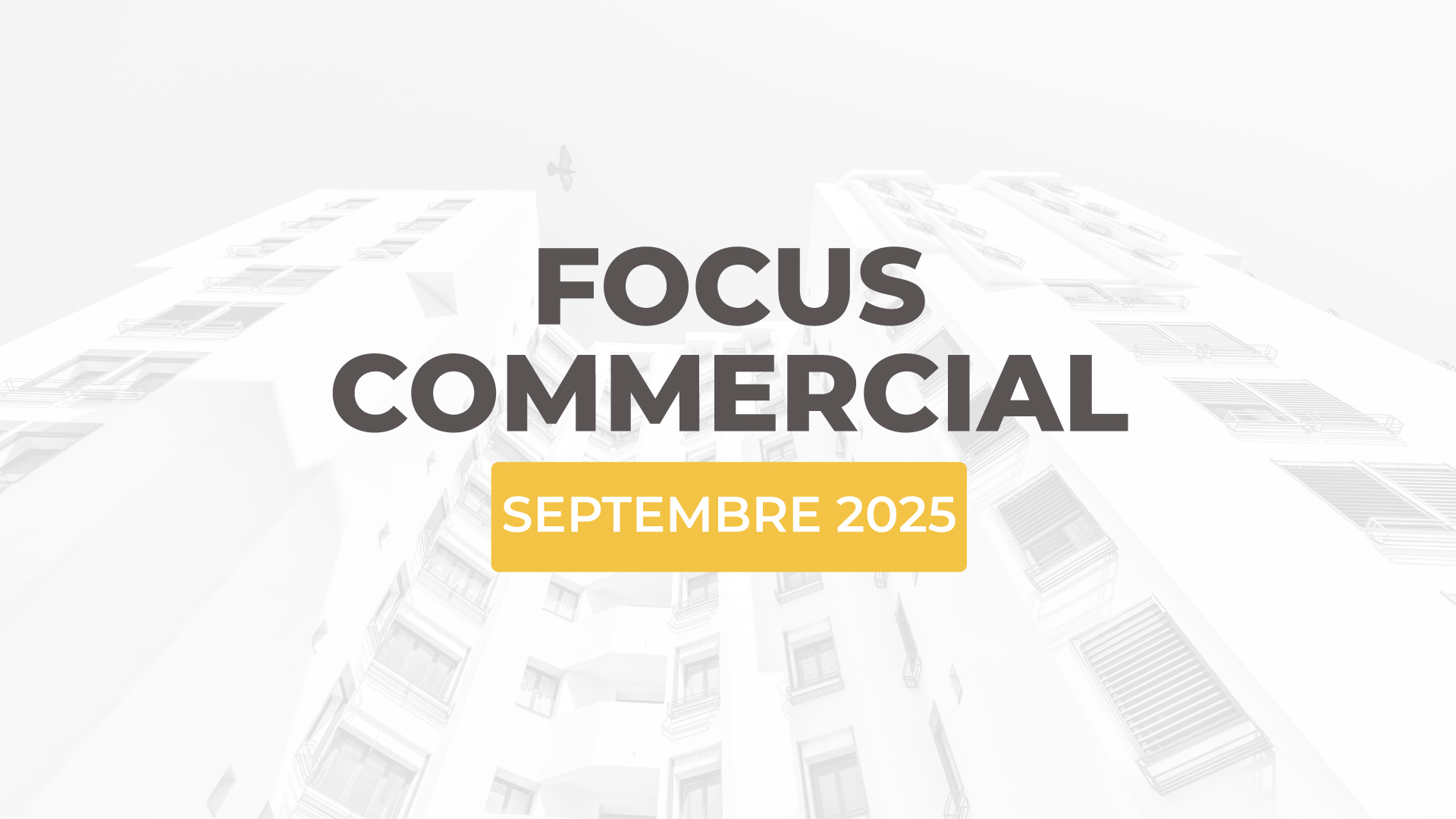 L'actualité commerciale d'ALTEREA de septembre 2025