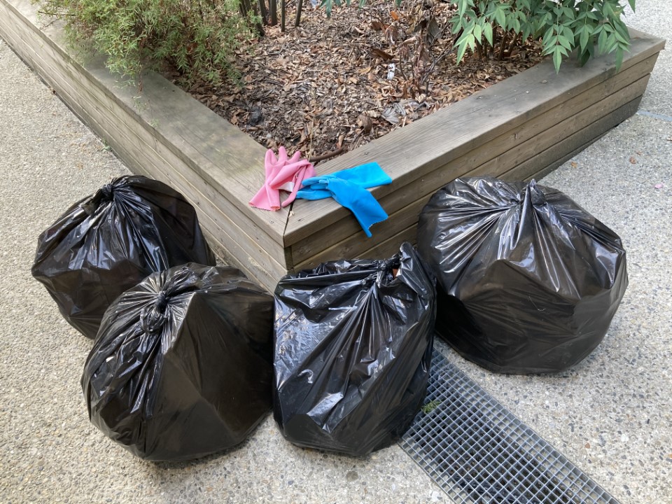 World Clean Up Day 2020 : quel bilan pour ALTEREA Groupe ?